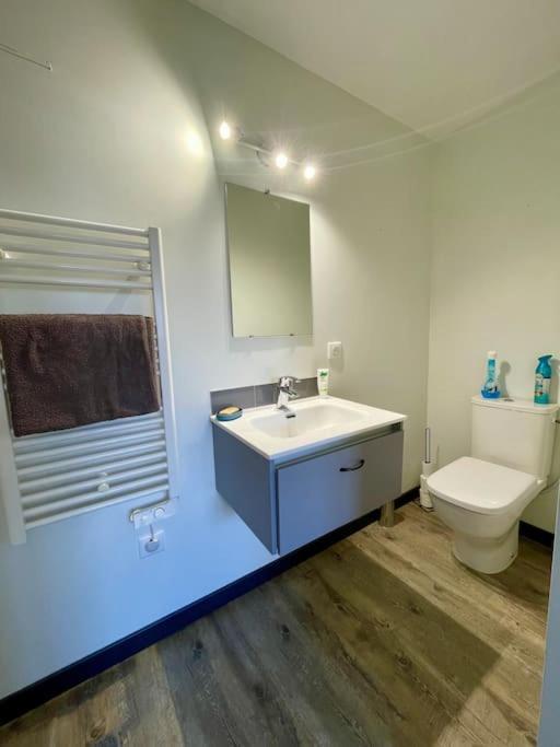 Appartement Independant 30 M² A 500M Du Lac, 2 Velos Et Parking Fournis 塞夫里耶 外观 照片