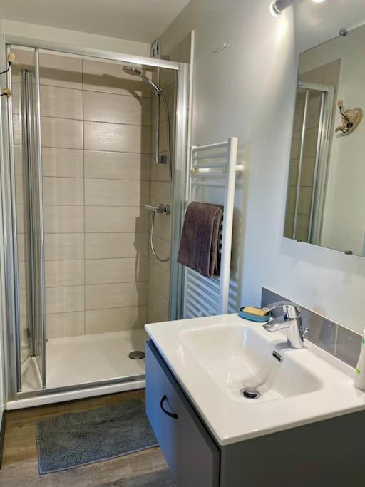 Appartement Independant 30 M² A 500M Du Lac, 2 Velos Et Parking Fournis 塞夫里耶 外观 照片