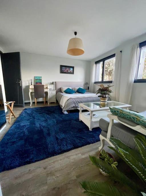 Appartement Independant 30 M² A 500M Du Lac, 2 Velos Et Parking Fournis 塞夫里耶 外观 照片